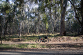 Gravel biking - PhotoDune Item for Sale