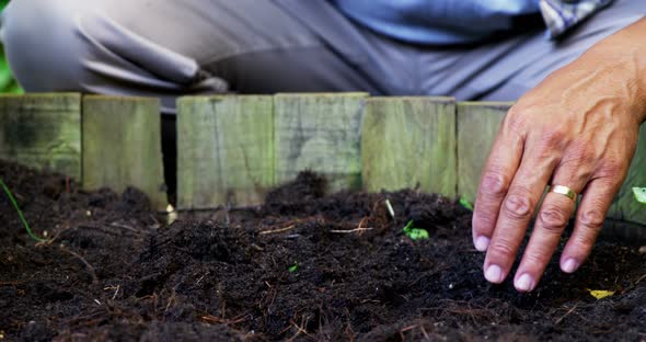 Senior man digging in the soil to dig plant