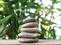 Stack Stone on Blur Plant Growth Tree wit Bokeh Background - PhotoDune Item for Sale