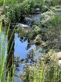 Waterfall along the pond outdoors  - PhotoDune Item for Sale