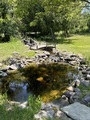 Koi pond in the park  - PhotoDune Item for Sale