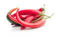 Red chili peppers. Hot spice peppers isolated on white background. - PhotoDune Item for Sale