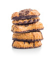 Assorted various cookies. Sweet biscuits isolated on white background. - PhotoDune Item for Sale