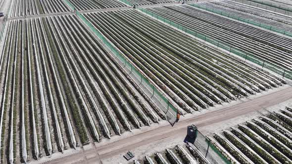 Aerial View of a Farm in Australia