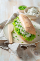 Tasty and fresh sandwich with radish and creamy cheese. - PhotoDune Item for Sale