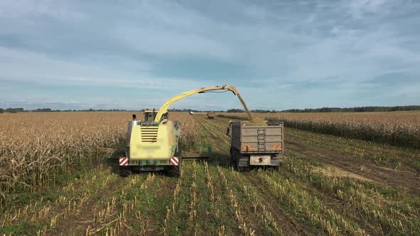 Combine Harvester Collect Ripe Corn At Field And Pour It In Tractor Trailer