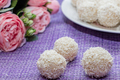 Homemade coconut candy on a background of pink flowers. Sweets for Valentine's Day. - PhotoDune Item for Sale