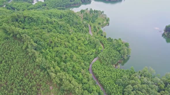 Drone Flies Above Tropical Woods and Road By Lake