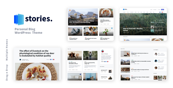 Stories - Personal Blog WordPress Theme