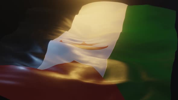 Western Sahara Flag Low Angle View