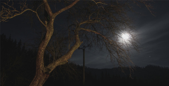 Moon, Stars And A Tree In Night Time Lapse Pack