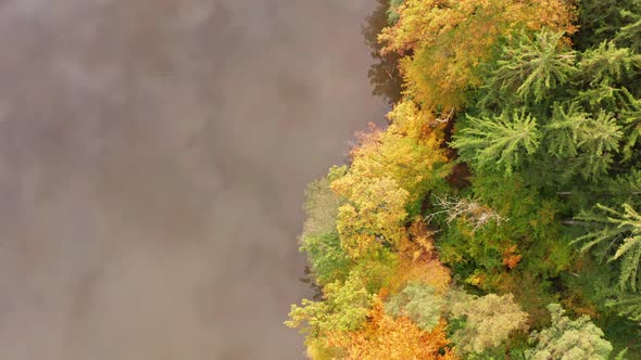 Aerial Top View Over Alpine Forest Durring Sunset in Autumn