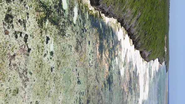 Vertical Video of Low Tide in the Ocean Near the Coast of Zanzibar Tanzania Aerial View