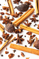 Dried star anise, cinnamon sticks and whole cardamon. Natural herbal spices seasoning collection. - PhotoDune Item for Sale
