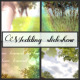 3D Wedding slideshow - VideoHive Item for Sale