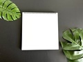 Notepad on black background with monstera leaves  - PhotoDune Item for Sale