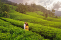 Aerial View of Green Tea Fields Landscape with Couple of Travelers in Love - PhotoDune Item for Sale