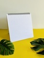 White notepad with monstera leaves  - PhotoDune Item for Sale