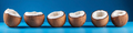 Collage of coconuts slick on blue backgrounds closeup. - PhotoDune Item for Sale