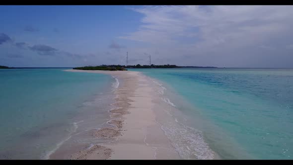 Aerial drone shot sky of marine seashore beach wildlife by blue water and white sand background of a