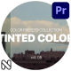 Tinted LUT Collection Vol. 05 for Premiere Pro - VideoHive Item for Sale