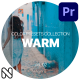 Warm LUT Collection Vol. 02 for Premiere Pro - VideoHive Item for Sale