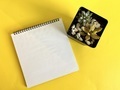 Notepad and succulent plant  - PhotoDune Item for Sale