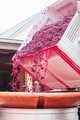 Hardys Winery in Mclaren Vale Australia - PhotoDune Item for Sale
