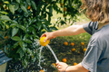 Child boy washes an orange with water from a hose in garden - PhotoDune Item for Sale