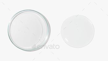 Top view of transparent frozen gel on petri dish on white background