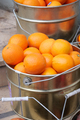 Orange in a bowl sold in farmers market - PhotoDune Item for Sale