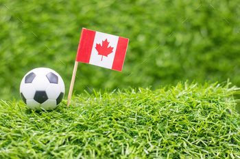 orts in the world. The game is played between two teams, each with eleven players, on a field with a goal at each end. The object of the game is to score by getting the ball into the other team’s goal.


	In Canada, soccer is a popular sport at all levels, from youth to professional. There are many different leagues and clubs across the country. The Canadian national team has competed in a number of major international tournaments, including the World Cup.