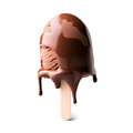 Chocolate ice cream - PhotoDune Item for Sale