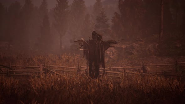 Terrible Scarecrow in Dark Cloak and Dirty Hat Stands Alone in Autumn Field