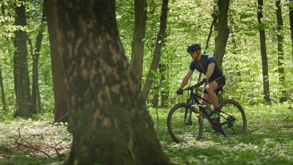 A Cyclist is Riding an MTB Bike Along a Forest Path