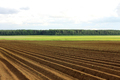 a plowed field. Creating a furrow in an arable field, preparing for planting crops in the spring - PhotoDune Item for Sale