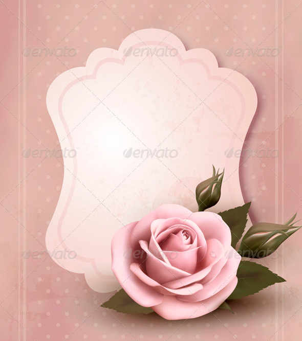 Retro greeting card with pink rose