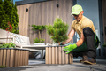 Caucasian Man Decorating His New Patio Deck with Small Pine Trees. - PhotoDune Item for Sale