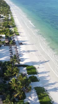 Beach on the Coast of Zanzibar Island Tanzania