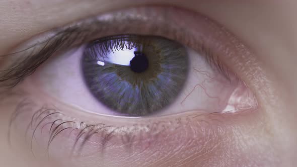Extreme Closeup of a Beautiful Girl's Blue Eye