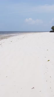 Beach on the Coast of Zanzibar Island Tanzania