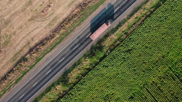 Aerial View of Trucks Driving Along a Rural Road Along a Sunflower Field on a Summer Morning