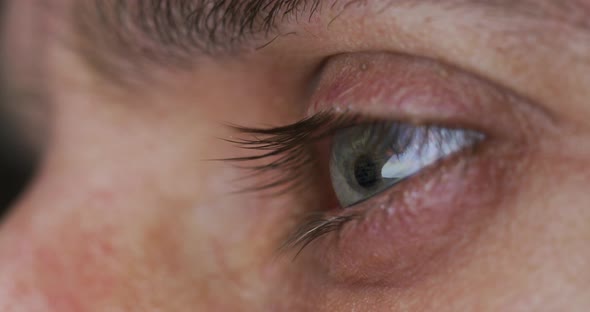 Side view of a blue eye