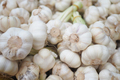 close up pf garlic on white background, - PhotoDune Item for Sale