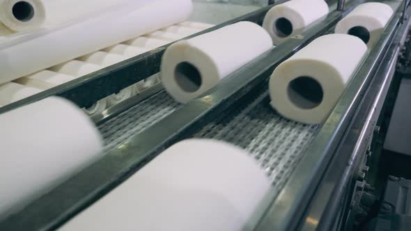 Metal Conveyor with Sets of Toilet Paper Moving Along It