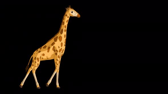 Big giraffe goes and stops alpha matte full shot 4K