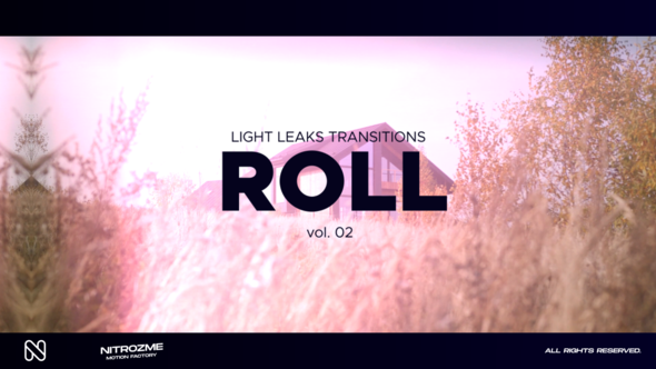 Light Leaks Roll Transitions Vol. 02 alt