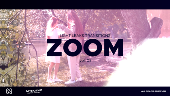 Light Leaks Zoom Transitions Vol. 03 alt