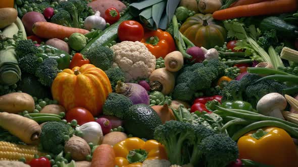 Harvest Vegetables Moving Shot