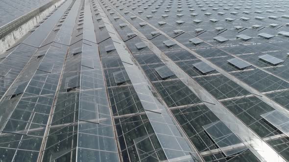 Flying Over Glass Greenhouses Growing Plants in Large Industrial Greenhouses View From a Height